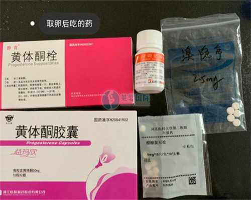 南昌2026年大龄女性供卵助孕成功率攀升：详解关键步骤及真实经验